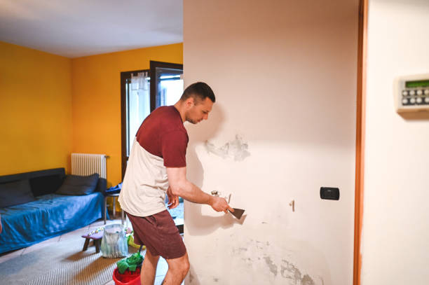 Mold Removal Process in Lake Heritage, PA